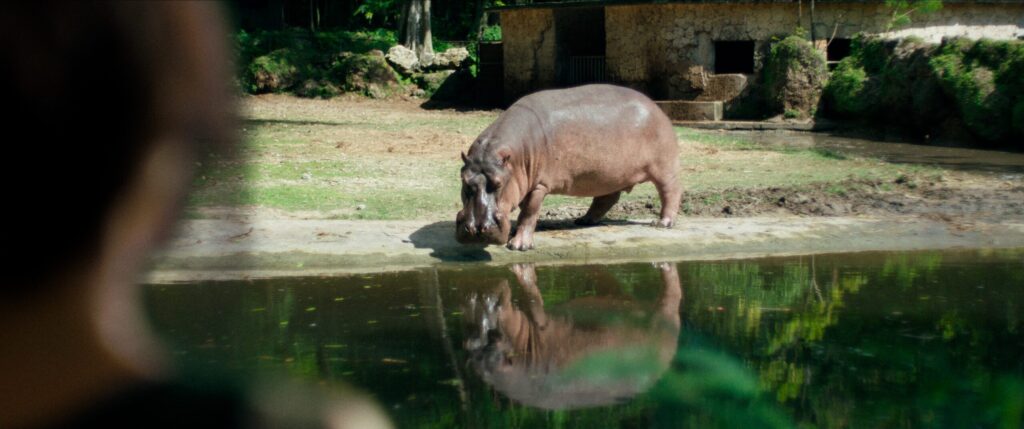 hipopotamo pelicula zafari