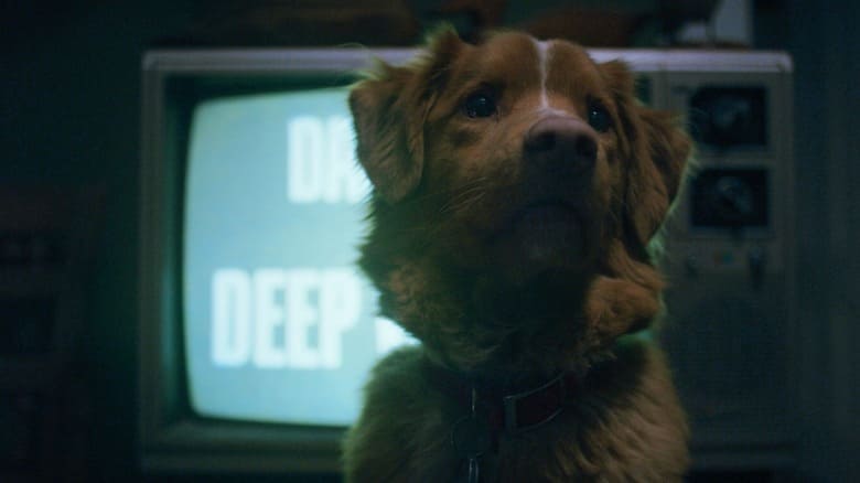 good boy 2