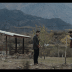 los renacidos review