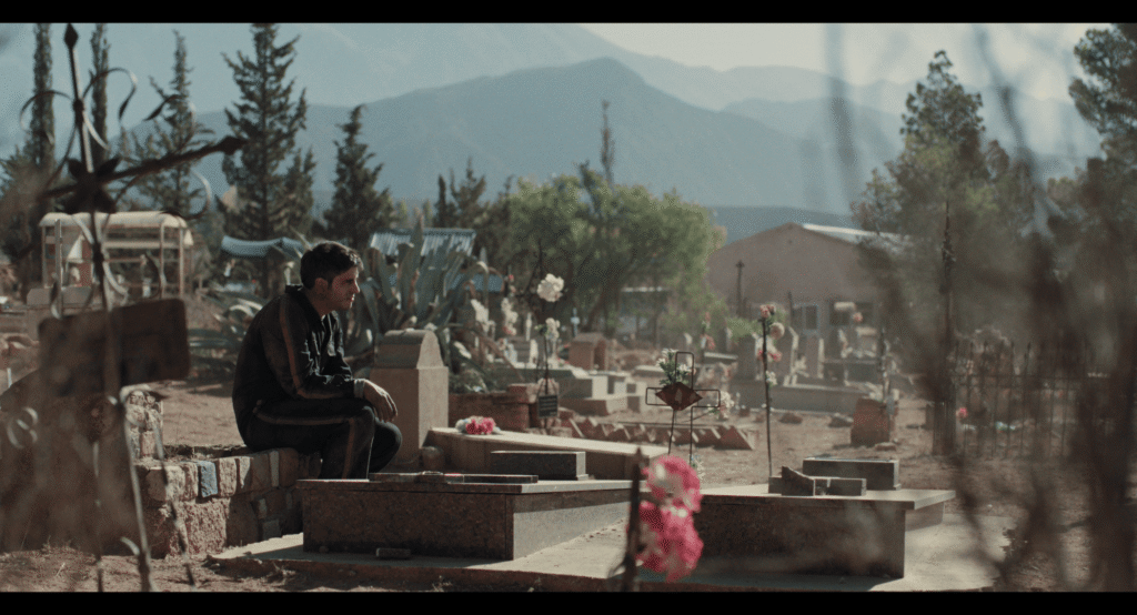 los renacidos review