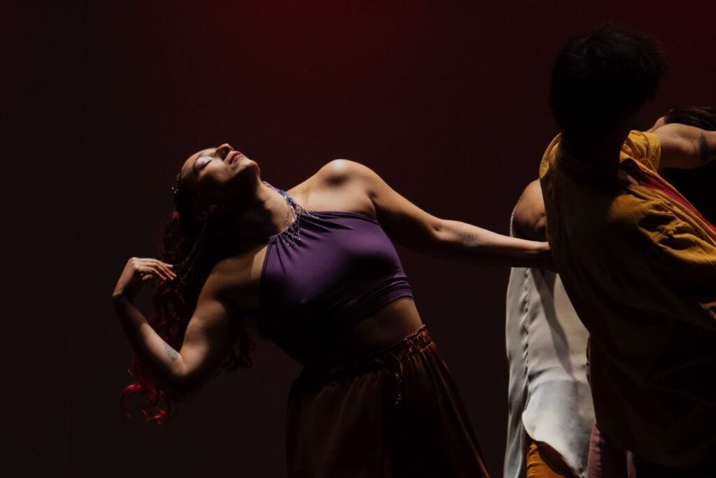 encuentro de artes escenicas los lagos
