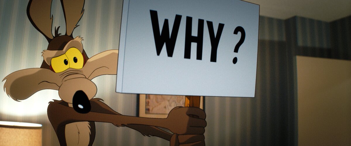 coyote vs acme pelicula